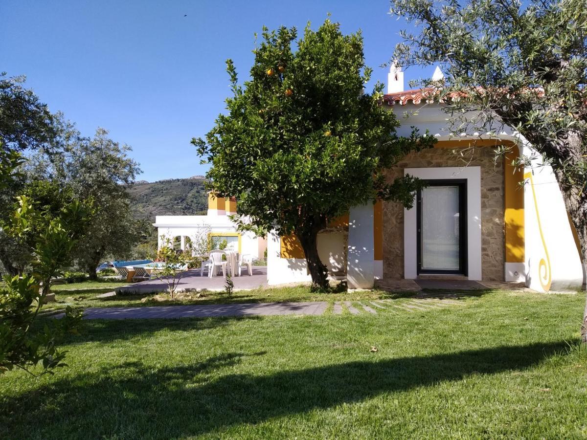 Casa Da Paleta Gospodarstwo wiejskie