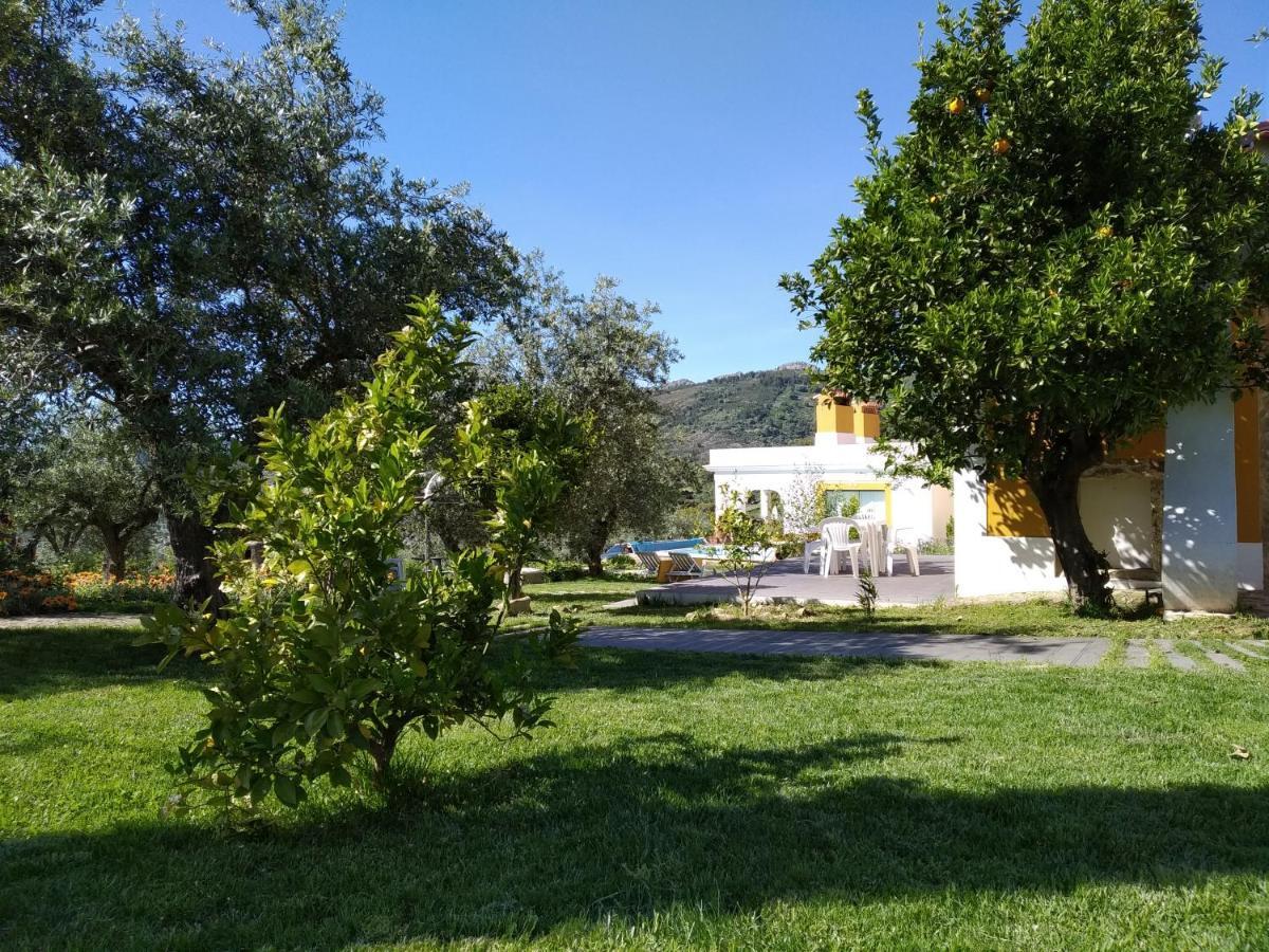 Gospodarstwo wiejskie Casa Da Paleta
